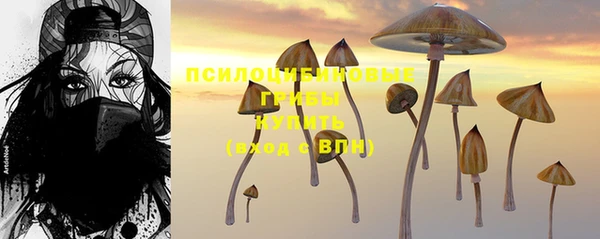 PSILOCYBIN Болхов
