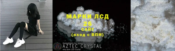 ПСИЛОЦИБИНОВЫЕ ГРИБЫ Заводоуковск
