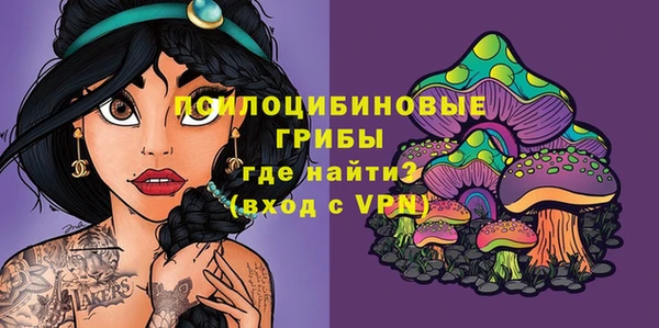мдпв Заволжье