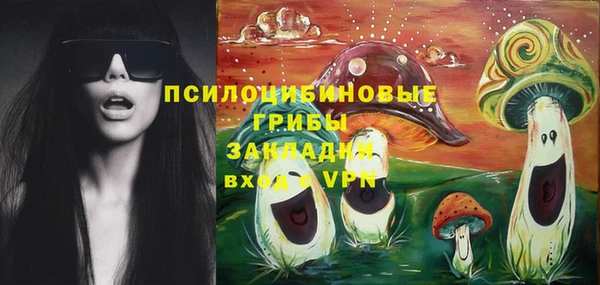 PSILOCYBIN Болхов