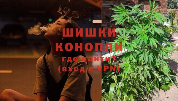 ПСИЛОЦИБИНОВЫЕ ГРИБЫ Заводоуковск