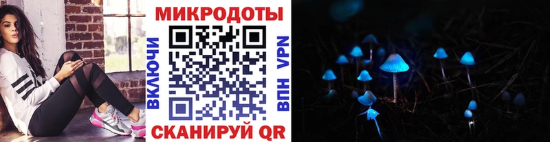 Галлюциногенные грибы мицелий  купить закладку  Жердевка 